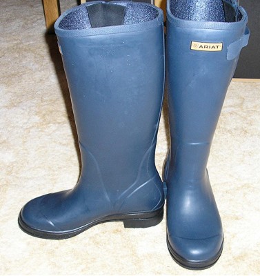 Blue boots01.jpg