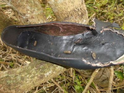 Poor shoe, suffered bad treatment