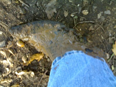 04112006175.jpg