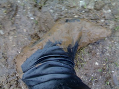 07012007205.jpg