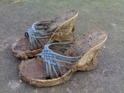 28012007229.jpg