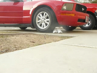 generated_5449179.gif