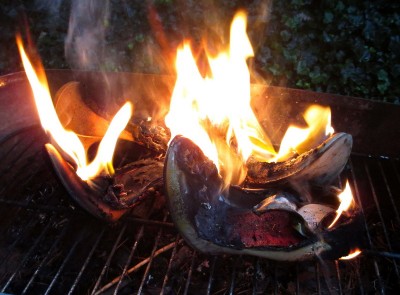 HugoBoss_LKB_BBQ_35.JPG