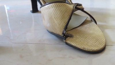 IMG_3731_copy.jpg