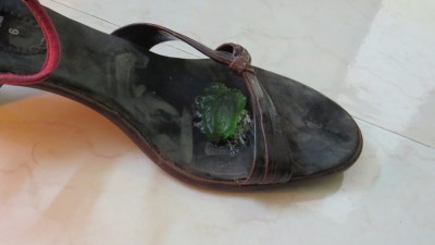 IMG_3753.JPG