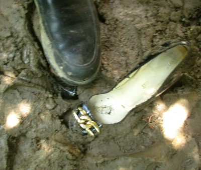 LKB_bl_fib_mud_16.JPG