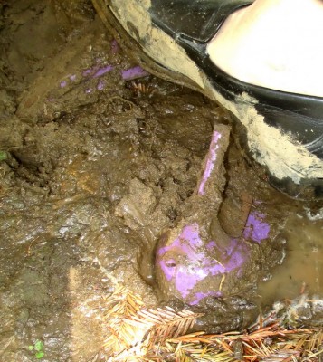 LK_Bennett_lillac_mud_33.JPG