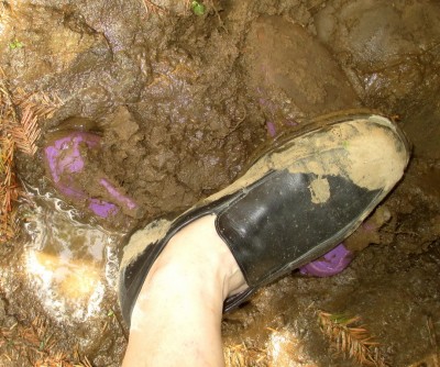 LK_Bennett_lillac_mud_32.JPG