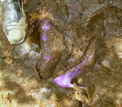 LK_Bennett_lillac_mud_31.JPG