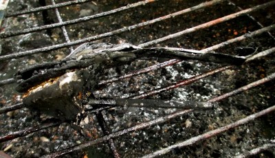 Guess_white_opentoe_skewer_37.jpg