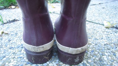 IMG_0002.JPG