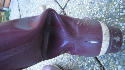 IMG_0007.JPG