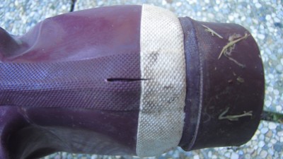 IMG_0005.JPG