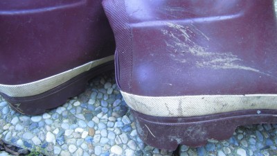 IMG_0009.JPG